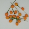 Острый перец Chiltepin Amarillo