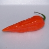 Острый перец Бхуд Джолокиа Оранжевая (Bhut Jolokia Orange Pepper)