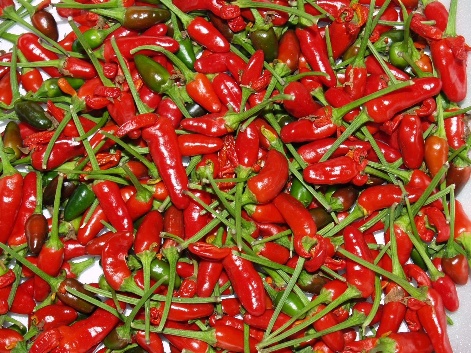 Thai Hot (острый перец Тай Хот)