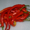 Острый перец Sweet Cayenne