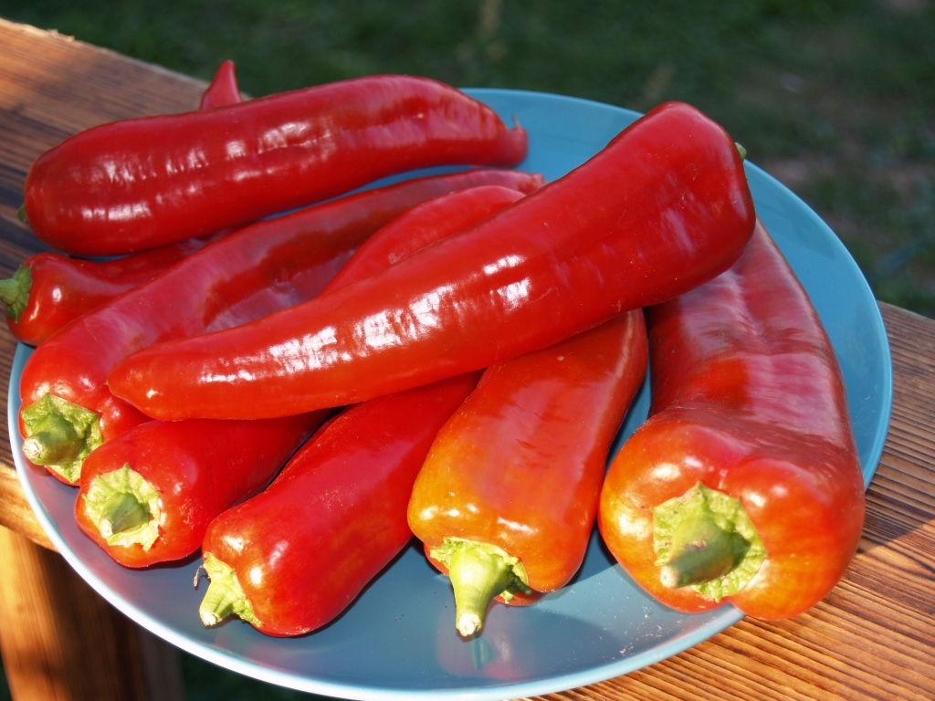 Маркони ред сладкий перец (Marconi red) — Семена сладких перцев — Семена —Каталог и цены — Чесночная ферма