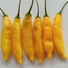 Острый перец Aji Peru Yellow