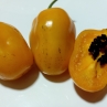 Острый перец Guatemala Orange