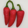 Острый перец Piment d'Esplette