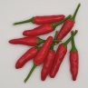 Острый перец Zimbabwe bird pepper