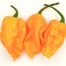 Острый перец Scorpion Butch-T Yellow
