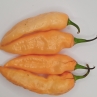 Острый перец Klavo Peach
