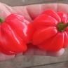 Острый перец Aji Dulce Rojo