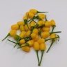 Острый перец Aji Charapita Nauta