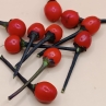 Острый перец Black Chiltepin