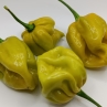 Острый перец Mustard Monster