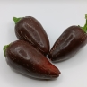 Острый перец Jalapeno Azabache