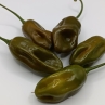 Острый перец Guajira Grande Mustard