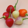 Острый перец Aji Moranguinho (CP314)