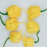 Острый перец Lemon Reaper BFE