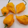 Острый перец Yellow Fever