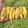 Острый перец Slim Naga Yellow