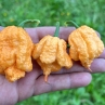 Острый перец Peach Monster