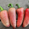 Острый перец Jalapeno Tajin