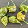 Острый перец Reaper Mustard
