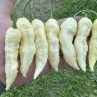 Острый перец Bhut Jolokia White W Strain