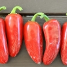 Острый перец Jalapeno Cajohn's