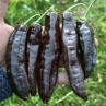 Острый перец Aji Panca