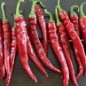 Острый перец Favignana Hot
