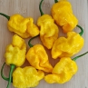 Острый перец Big Yellow Mama