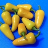 Острый перец Jalapeno Yellow Mini