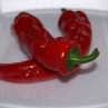 Pork Pig Intestines Pepper (Острый перец Свиная кишка)