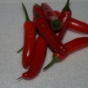 Serrano Tampiqueno (Острый перец Серрано Tampiqueno)
