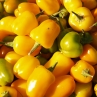 Минибелл желтый (мелкий опт)