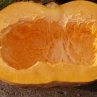 Atlantic Giant (тыква Атлантик Джаент)