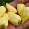 Bhut Jolokia White (Острый перец Бхут Джолокия Уайт)