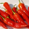 Aji Piura (Ахи Пиура)