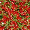 Thai Hot (острый перец Тай Хот)