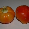 Острый перец Alma Paprika (Алма Паприка)