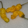 Peter Pepper Yellow (Острый перец Петер Пеппер Еллоу)