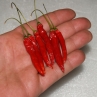 Guampinho de Veado острый перец