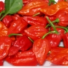 Острый перец King Naga