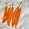 Острый перец Large Orange Thai
