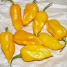 Острый перец Raja Mirch Yellow
