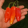 Острый перец Aji Verde (Ахи Верде)
