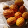Вьетнамская полосатая дыня
