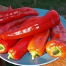 Маркони ред сладкий перец (Marconi red)