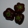 Сладкий перец Miniature Chocolate