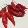 Острый перец Aji Challuaruro
