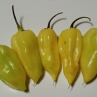 Острый перец White Naga