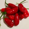 Острый перец Cabaca Vermelho